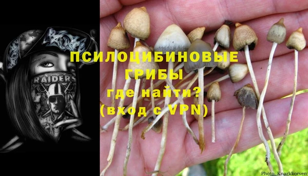 круглые Бородино