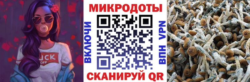 Псилоцибиновые грибы MAGIC MUSHROOMS  это формула  Вязники  что такое наркотик 
